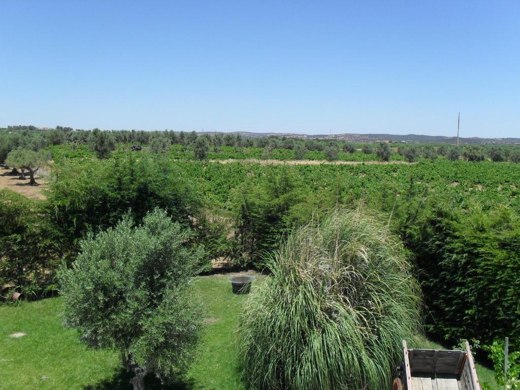 Terras De Monsaraz Hotel Регуенгос де Монсараз Стая снимка